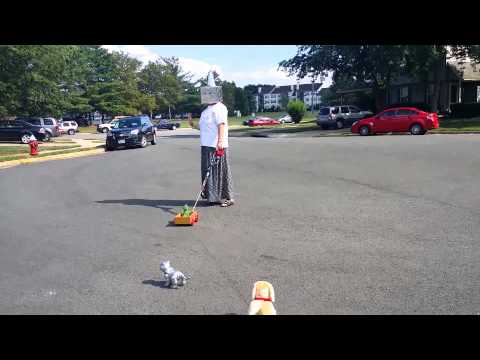 Gish49 robot pets walk