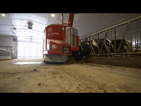 How Robots Are Saving the Dairy Farm