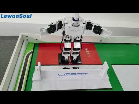 Humanoid Robot Almighty Challenge Demo Video