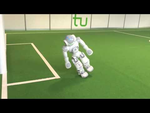Humanoids 2015: Flexible Linear Inverted Pendulum Model for Cost-Effective Biped Robots