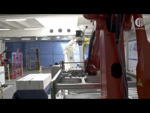 Industrial Robots for Palletizing and Packaging | Comau