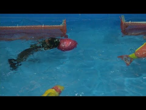 International Underwater Robot Competition makes a splash in E China