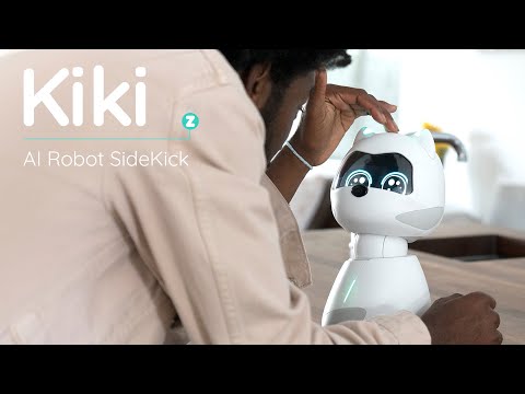 Kiki – Conscious, Learning Robot Sidekick
