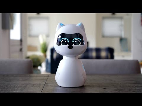 Kiki is Your New AI Robotic Pet – Zoetic AI