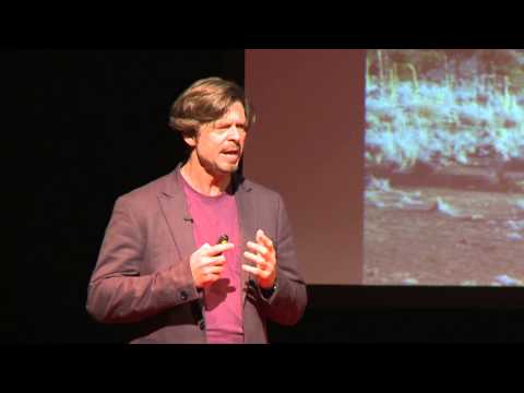 Let's put robots in space: Philip T. Metzger at TEDxOrlando