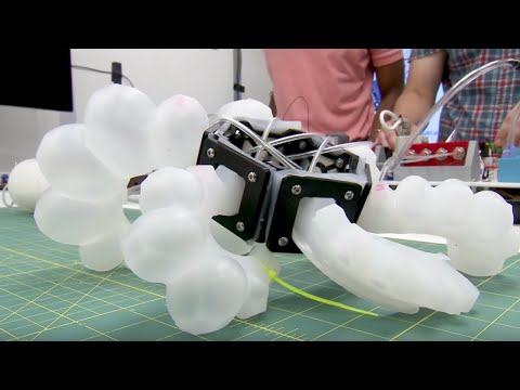 Life at the Lab: Soft Robots