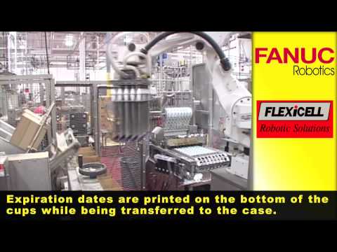 M-420iA Food Grade Robot Packing – FANUC Robotics Industrial Automation