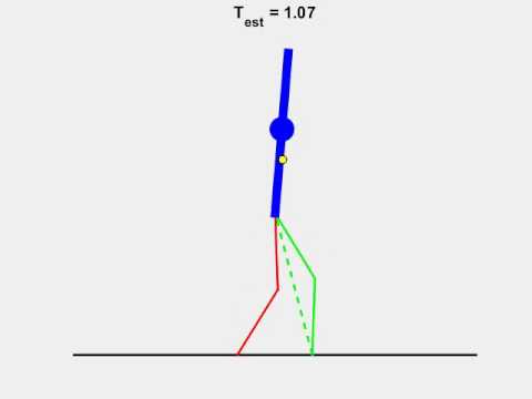 Matlab Simulation for the biped robot