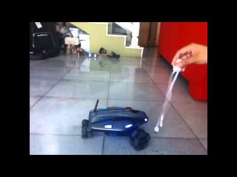 Me and Blinky, My Robot Pet