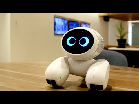 Meet Domgy the pet robot