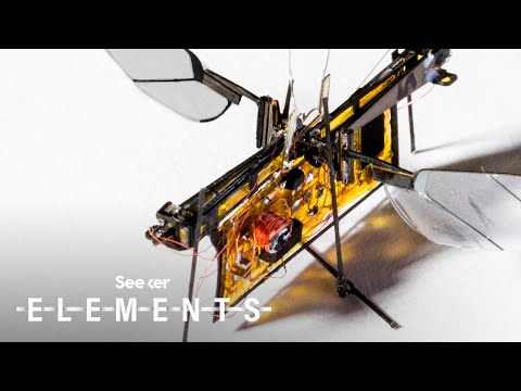 Meet the Autonomous Insect Robots That Will One Day Swarm the Skies