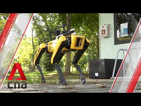 Meet the robot dog promoting safe distancing in Singapore's parks