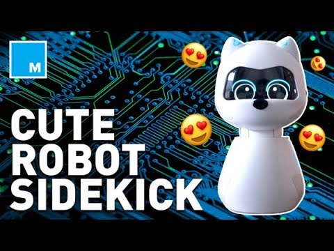 Meet the Robot Pet Who Learns Your Habits – STRICTLY ROBOTS