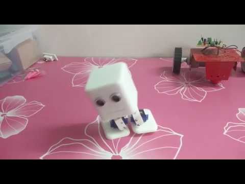 Mini biped Robot with Obstacle sensor based on Arduino