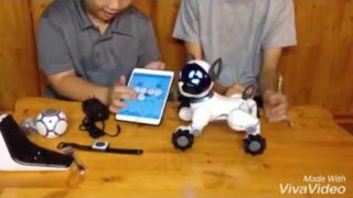 Mở hộp ROBOT PET DOG(WOWWEE CHIP)
