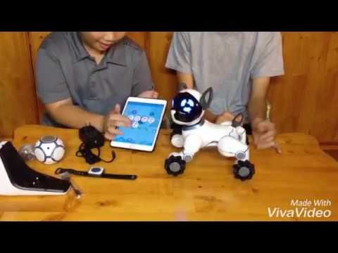 Mở hộp ROBOT PET DOG(WOWWEE CHIP)
