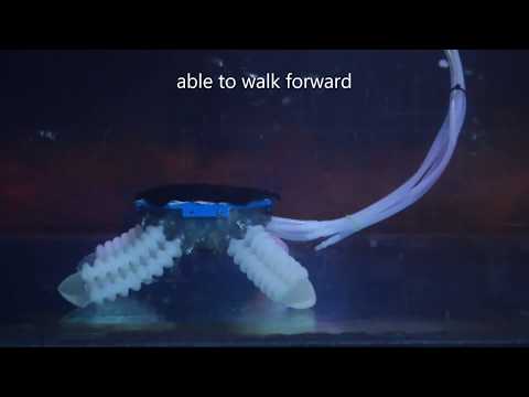 Morphing Structure for Changing Hydrodynamic Characteristics of a Soft Underwater Walking Robot