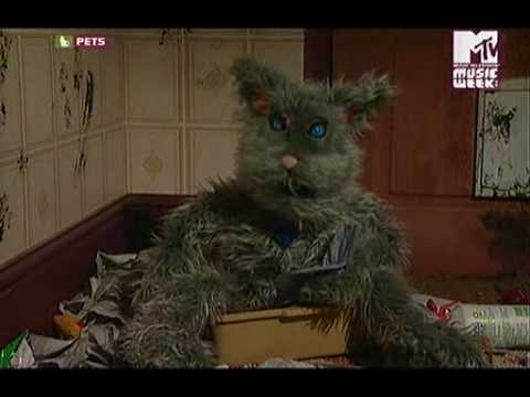 mtv pets ITA Robot Wars
