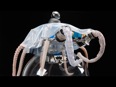 Octopus-Inspired Robots Can Grasp, Crawl, and Swim