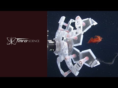 Origami Underwater Robots – Discovery 01.08