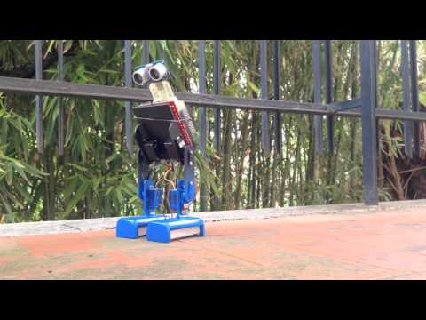 PARVUS mini biped robot plays football