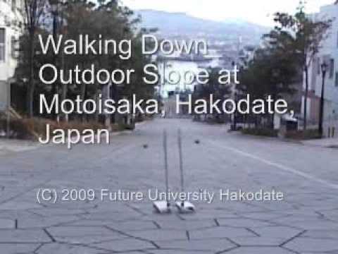 Passive Dynamic Biped Robot That Walks Down Outdoor Environment