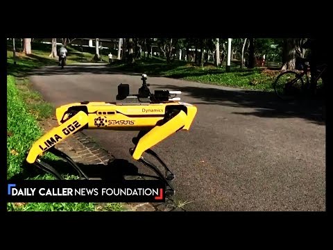 Police Robot Dogs Are On The Prowl