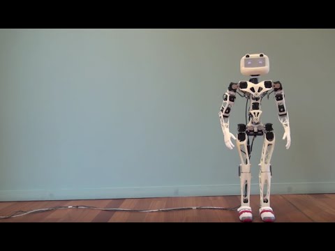 Poppy Humanoid Beta Overview