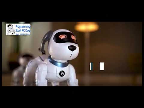 Programming Stunt RC Dog Robot Best Friend Smart Pet Children Gift