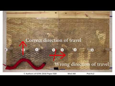 Proprioceptive-Inertial Autonomous Locomotion for Articulated Robots