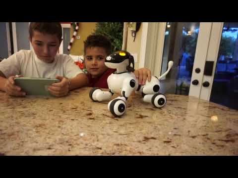 Puppy Smart – Robot Dog for Kids (Voice, Touch & App Features)