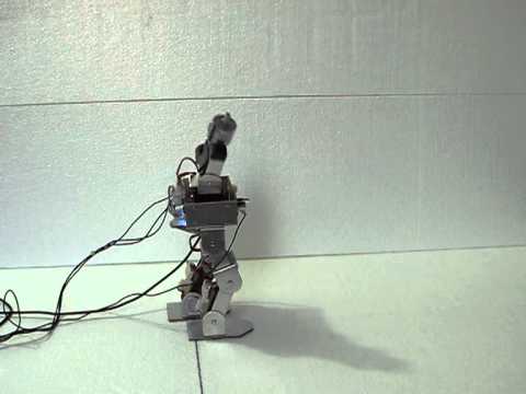 ROBÔ BÍPEDE (BIPED ROBOT) – LSMR/DSCE/UNICAMP (BRASIL)  – PLANO SAGITAL (1,5s) – NXP