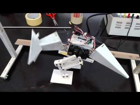 Robô dinossauro bípede / Biped robot dinossaur