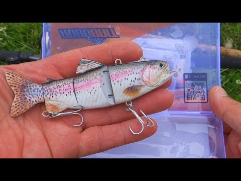 Robot attacks fish: Testing new fishing lure. Underwater experiment.