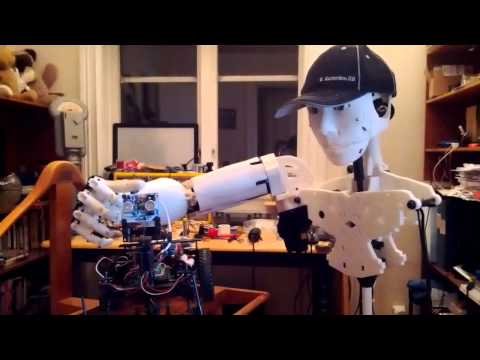 robot pet