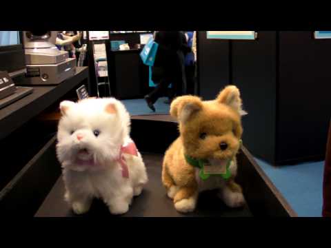 Robot pets at CEATEC 2009