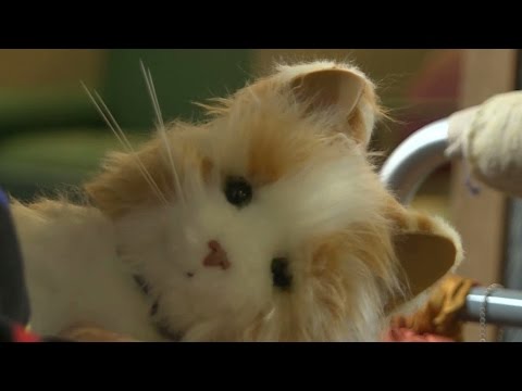 Robotic pets bring joy to nursing home in New York