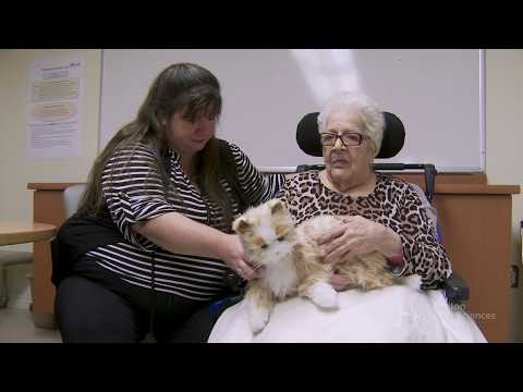 Robotic Pets For Dementia Care - Robotics Plus