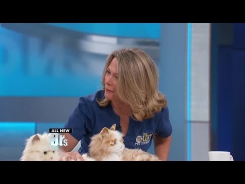 Robotic Pets for Seniors
