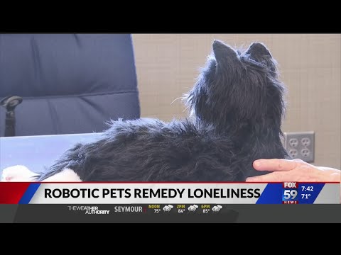 Robotic pets remedy loneliness