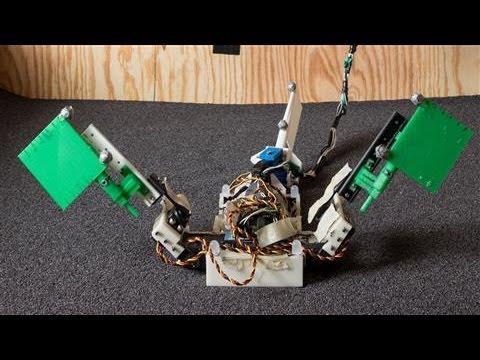 Robots Probe Evolution of Aquatic Animals