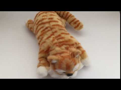Robots Ready | Robotic Cats | Robot Pets