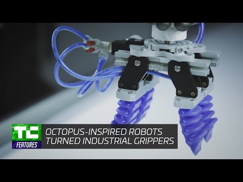 Soft Robotics' octopus-inspired robots industrial grippers