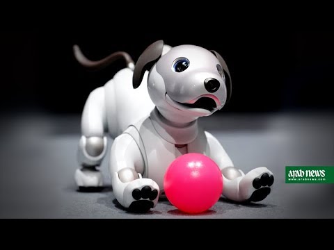 Sony revives robot pet dog
