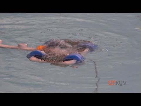 Students' underwater robots take on SeaPerch Challenge