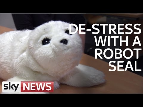 SWIPE | Robotic Pets And Smart Glasses With A Tech Solution For Blind People