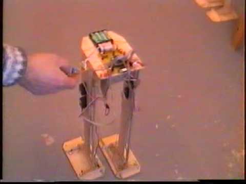 TecFoot – autonomous dynamic walking biped robot
