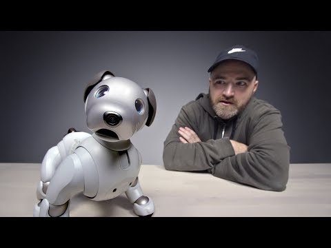 $3000 robot dog