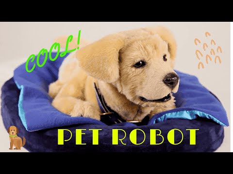 The 7  best PET ROBOTS 2020