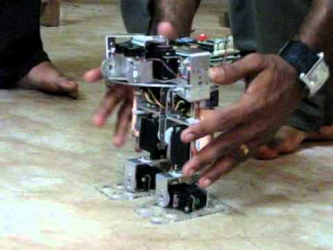 The Biped Robot – Our Main Project